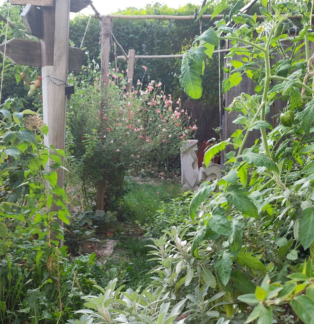 Création d'une butte en permaculture dans le jardin d'un tiers-lieu