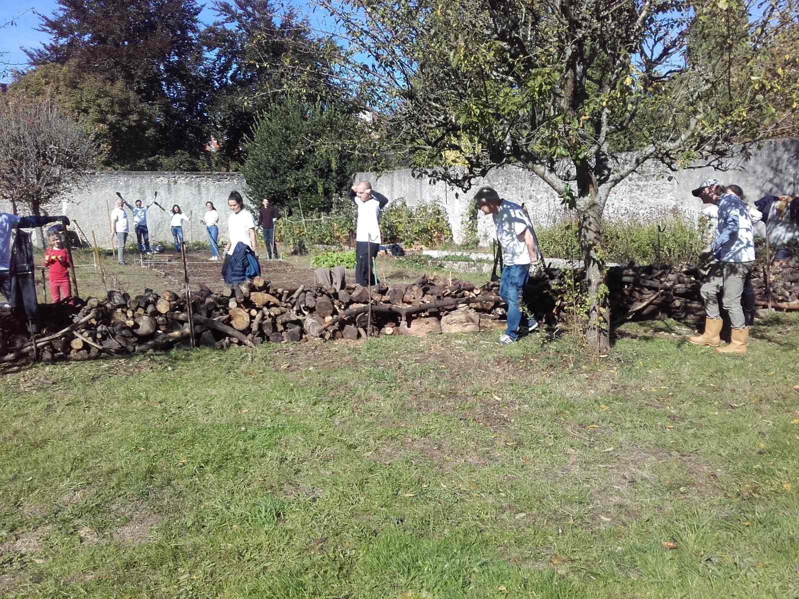 Entretenez un jardin potager partagé et un parc dans Versailles